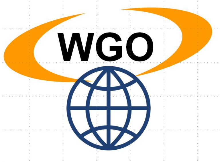 WGO in neuem Internet-Design